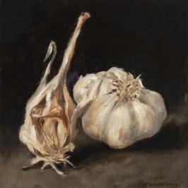 La tête d'ail 1 - 20 x 20cm