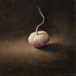 Le navet - 20 x 20 cm