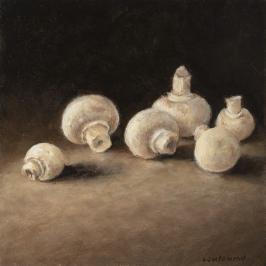 Les champignons 2 - 15 x 15 cm