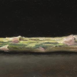 L'asperge verte - 7 x 30 cm