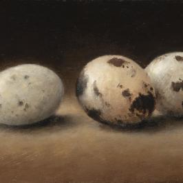 Les oeufs de caille - 8 x 30 cm